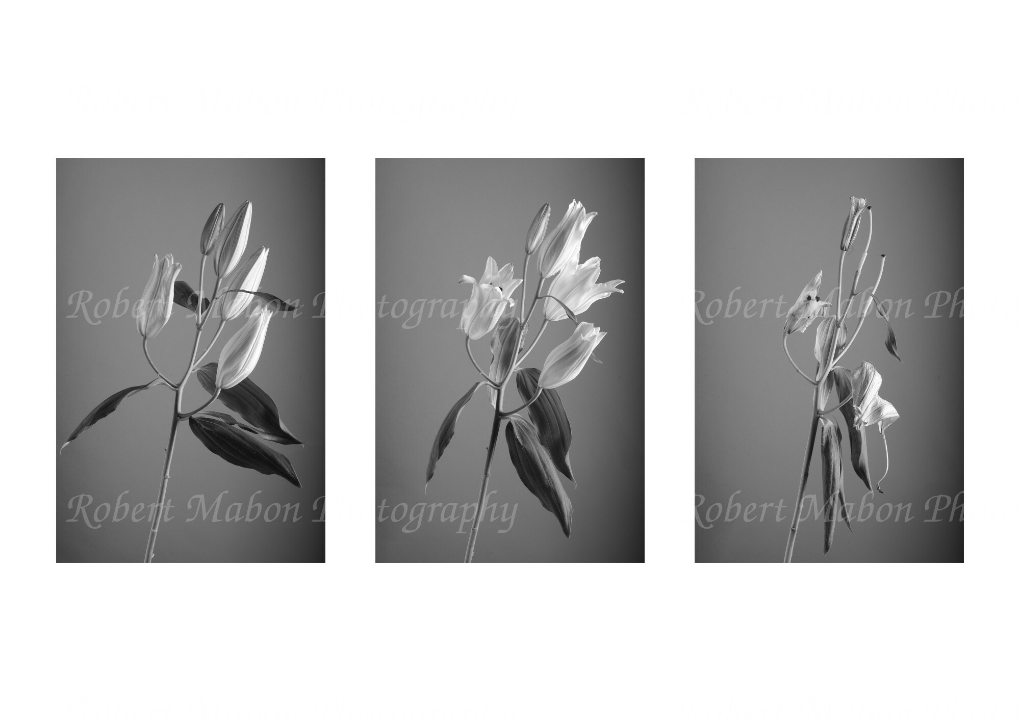 triptych